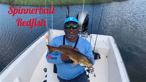 The Spinnetbait Advantage: Redfish Fishing Made Simple